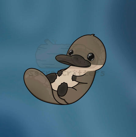 Original character design of an Australian platypus