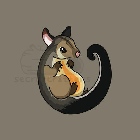 Original character design of an Australian brushtail possum