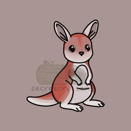Original character design of an Australian red kangaroo.